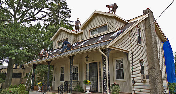 Best Metal Roofing Contractor  in Whitfield, FL