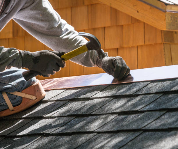Roof Gutter Cleaning in Whitfield, FL